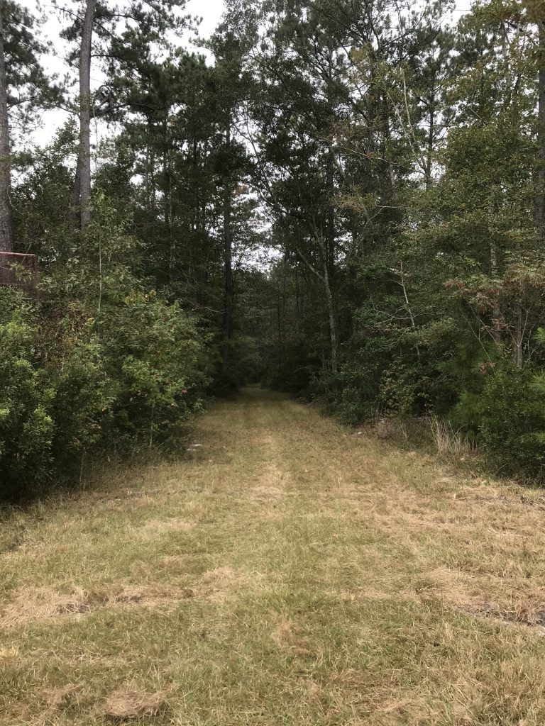 167 acres in Georgetown County - SOLD