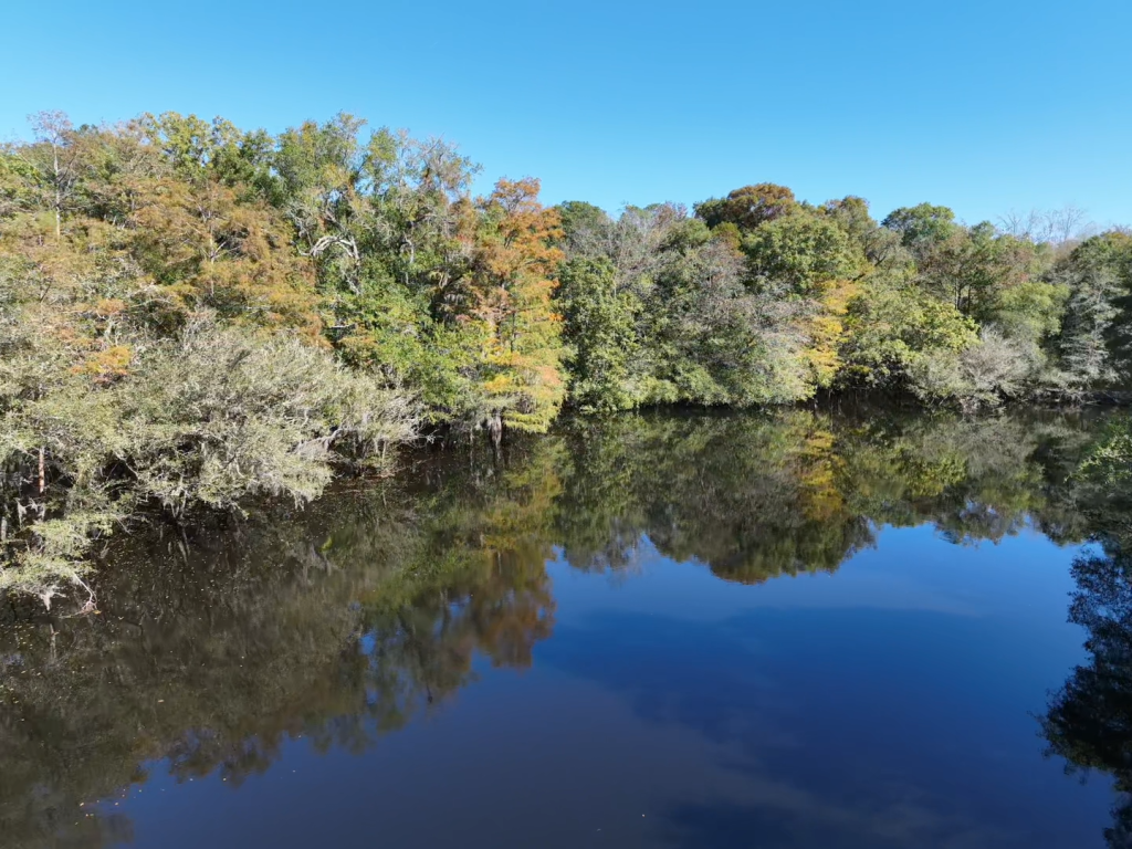 Black River - Kingstree